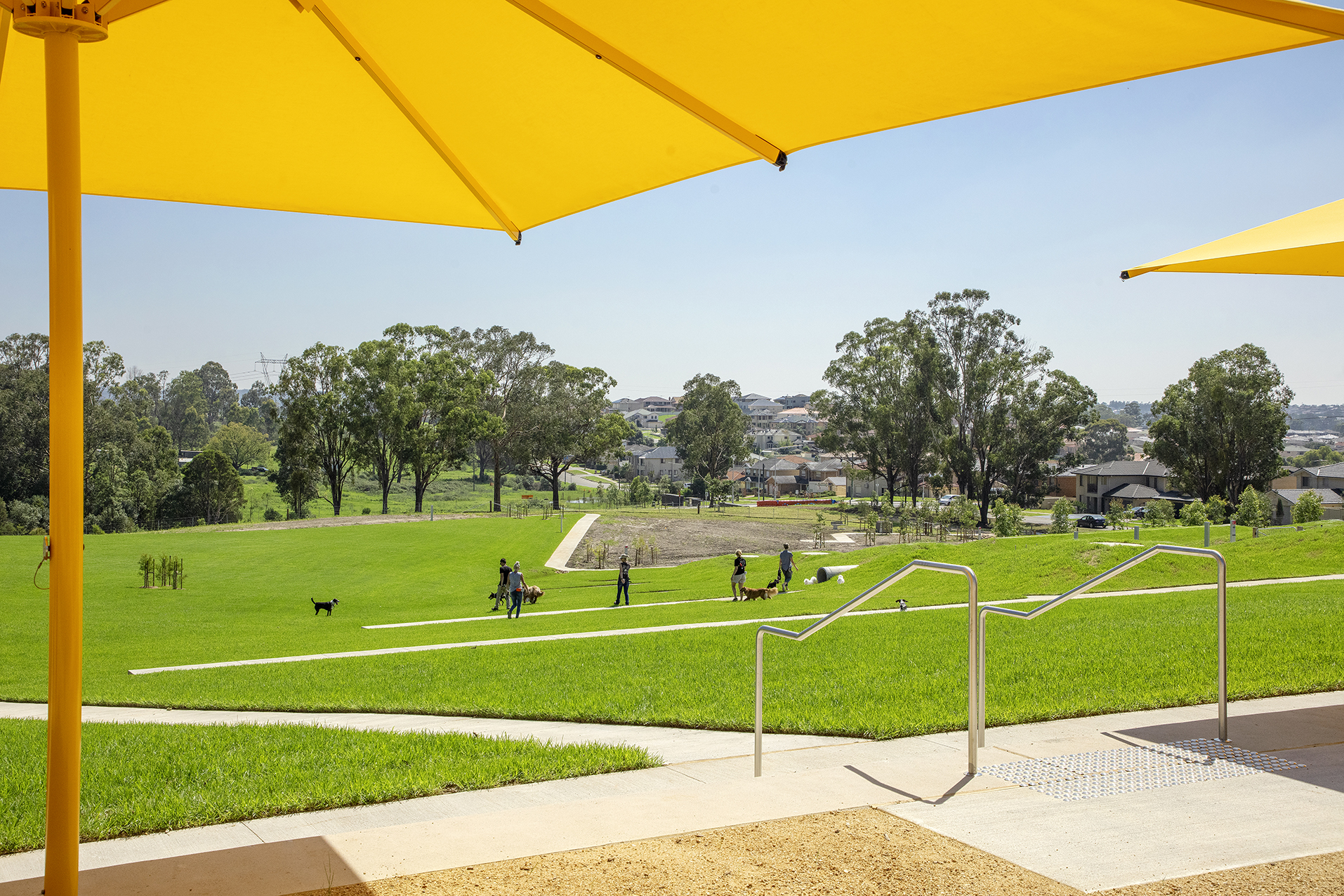 Shale Hills dog park