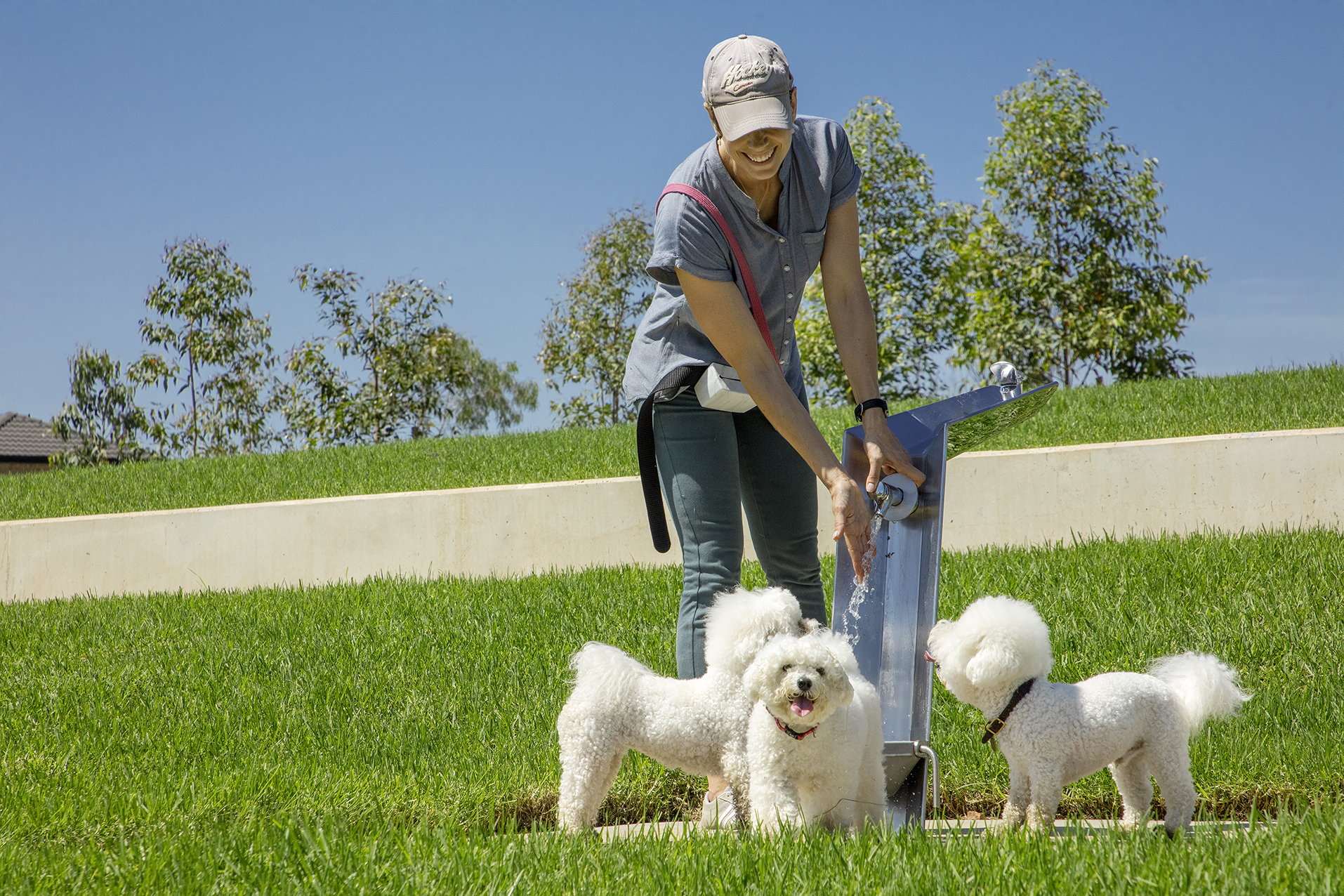 Shale Hills dog park