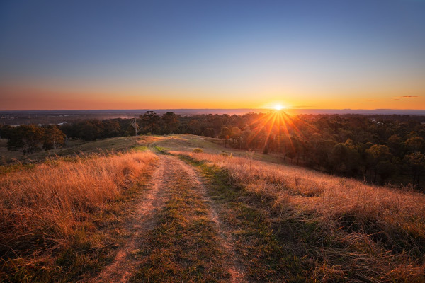 Parklands sunset with grassy hills and sun shining low