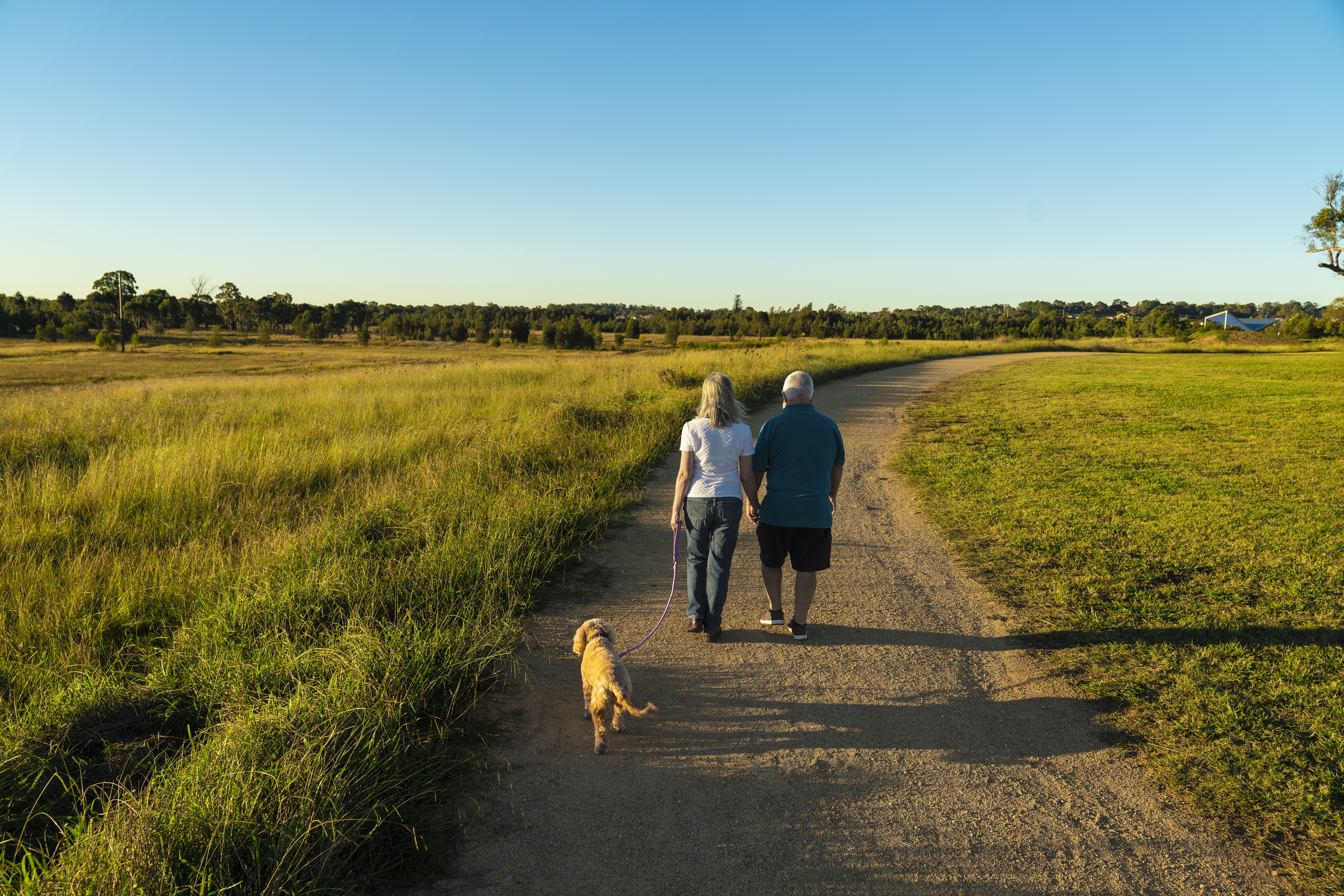 Dog Walking