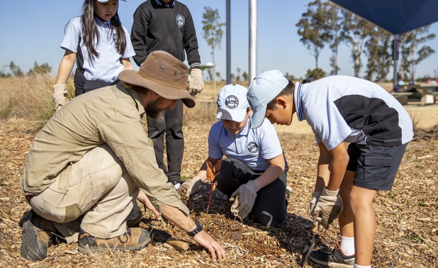 Picture of school kids planting trees in Western Sydney Parklands