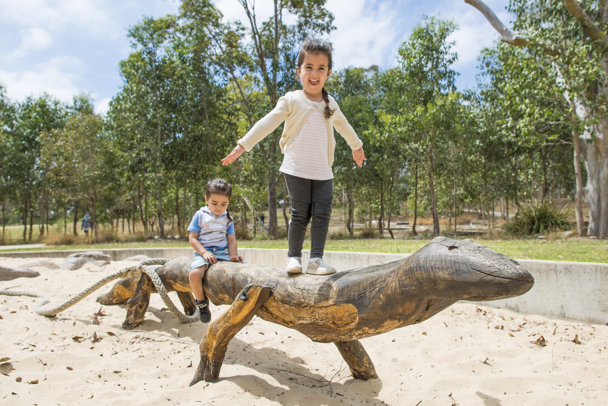 Lizard Log playground