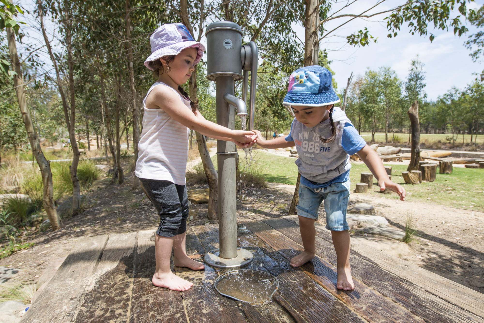 Lizard Log waterplay