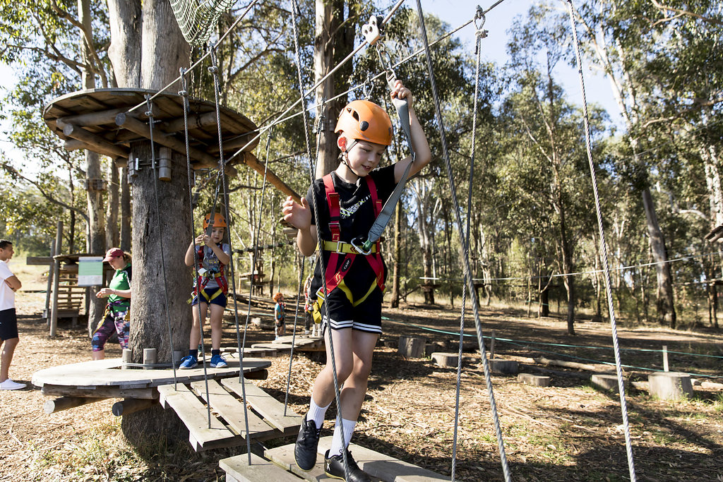 Treetops adventure