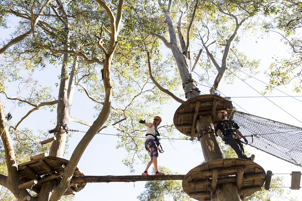 Treetops adventure