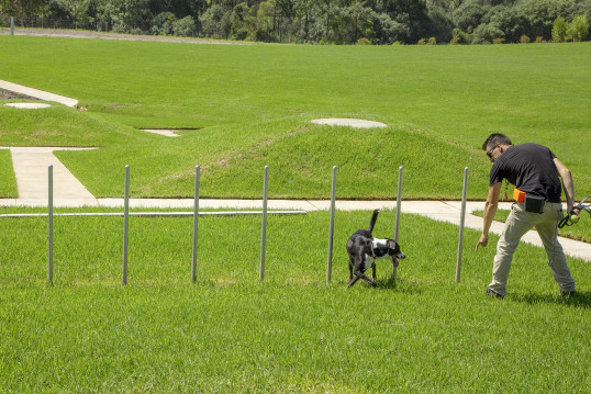 Shale Hills dog park Shale Hills dog park
