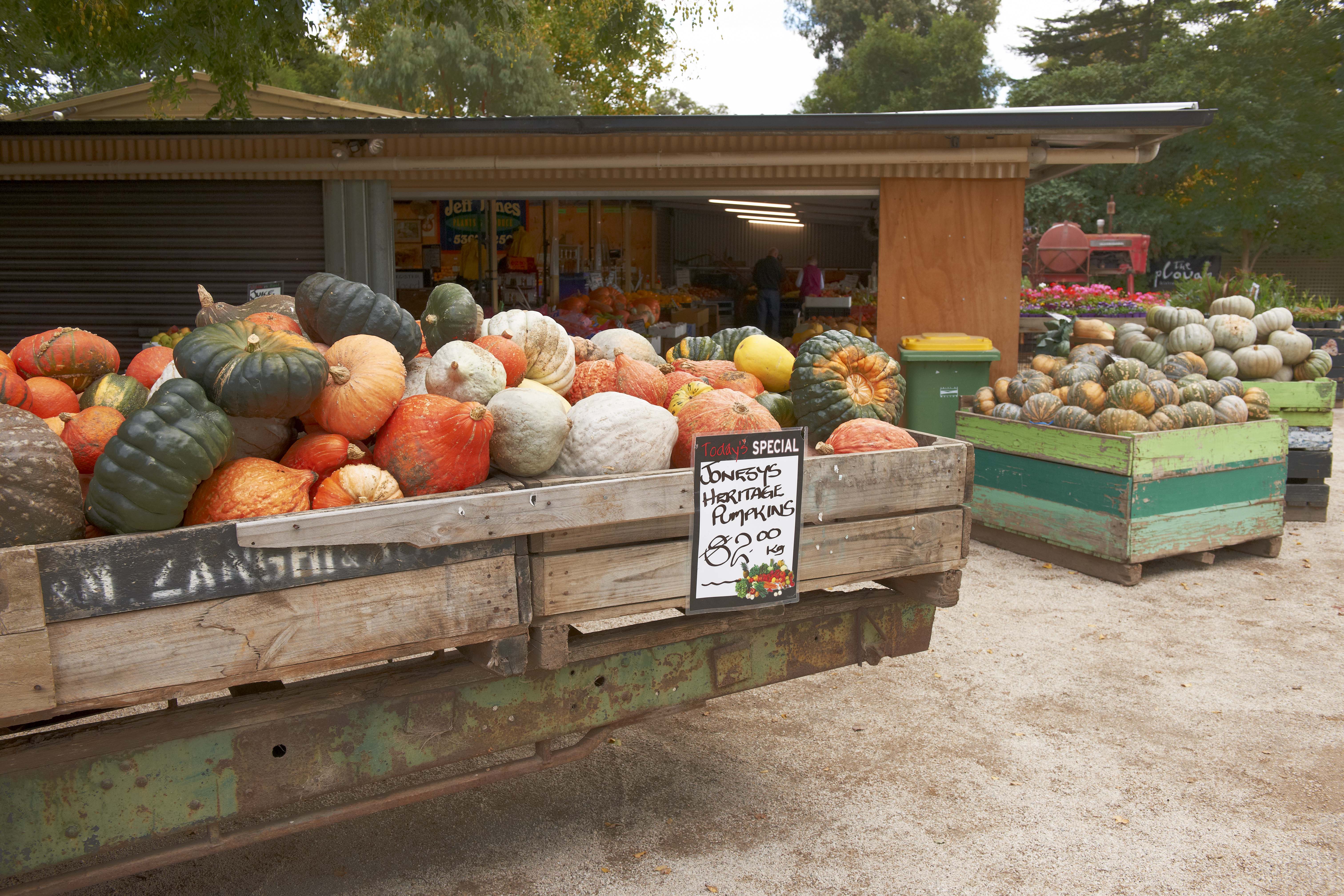 Urban farms produce 3