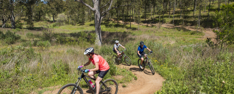 wylde mountain bike park