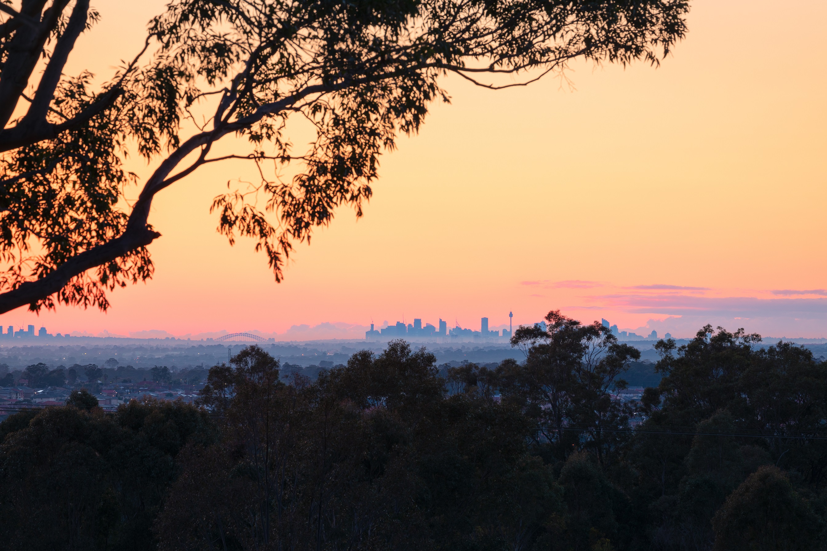View to the east from the western ridges walk CREDIT Daniel Tran