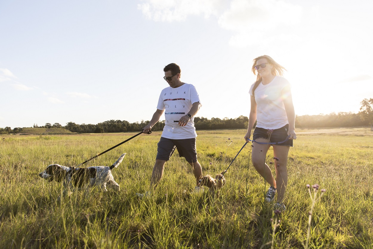 man and woman walking their dogs 