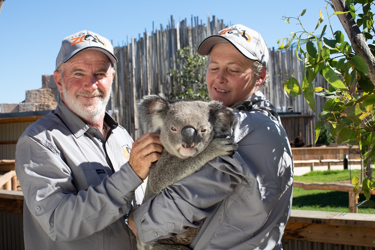 Zoo keepers with a koala