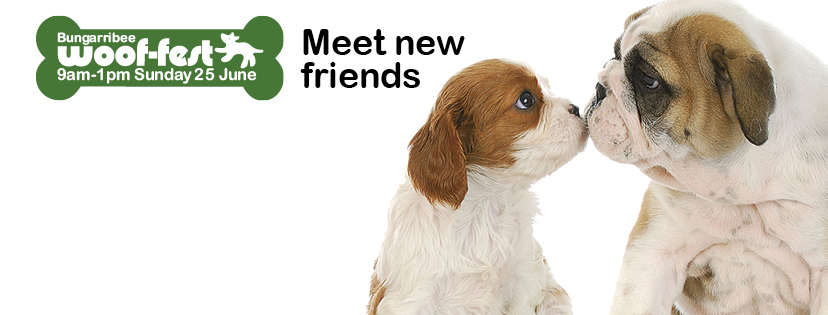 C14872 FacebookBanner 828x315 V1 1