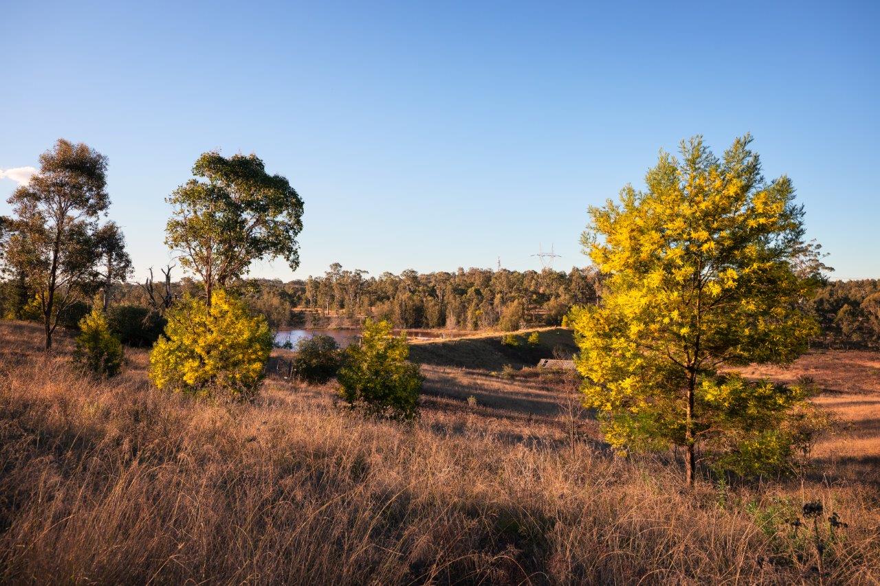 Western Sydney Parklands Future Seven Ridges Walk CREDIT Daniel Tran 6