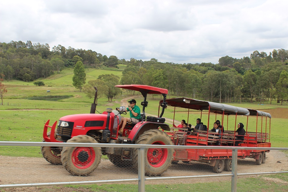 red tractor at Calsley Hill City Farm